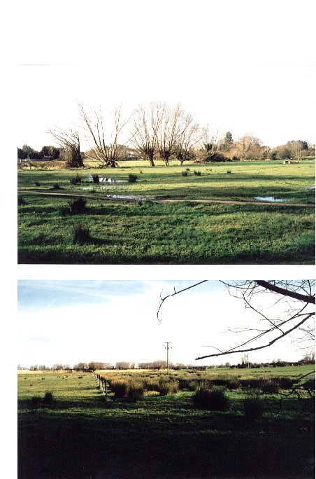 Whitegate Field & The Water Meadow
