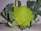 romanesco - pic 02