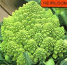 romanesco - pic 05