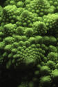 romanesco - pic 07