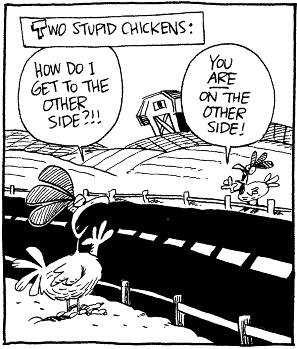 chickens across the road cartoon