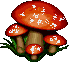 Amanita muscaria from Dr Fun http://www.drfun.com
