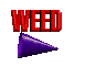 weed logo by Barry Hunt (Voodoo Graphics)