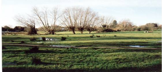 Whitegates Field - The Water Meadow