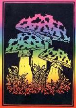 Moore and Moore - fly agaric